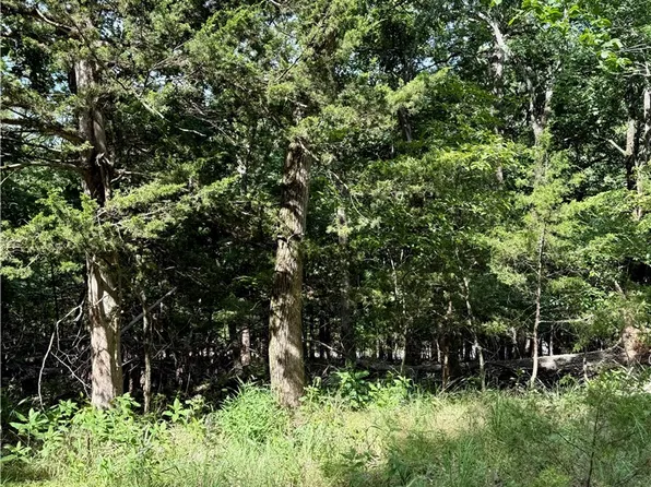 LOT 40 Pine Dr, Garfield, AR 72732