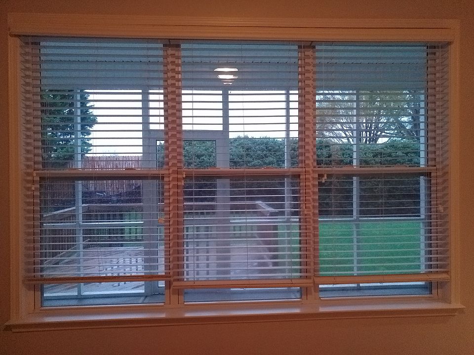 View from living room to back porch.