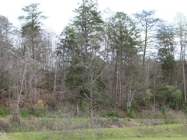 1 Reeds Creek Rd, Keokee, VA 24265