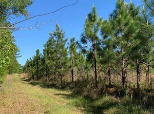 819 Fellowship Rd, Williston, SC 29853