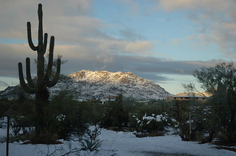 snowy view from front door