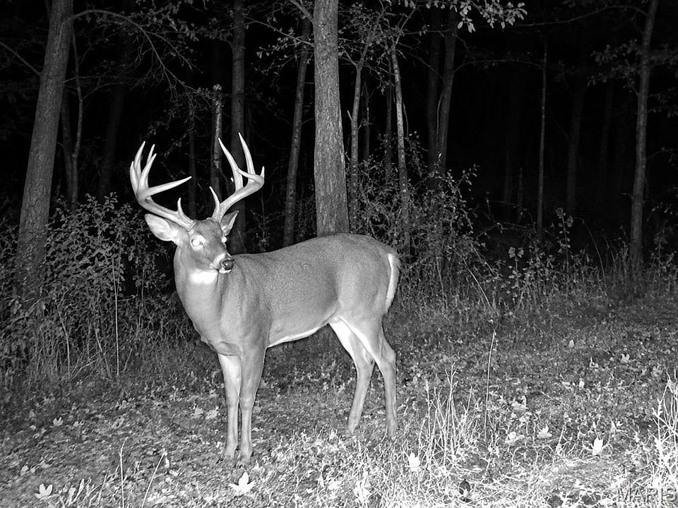 1st image of 18759 Maries Rd #308
