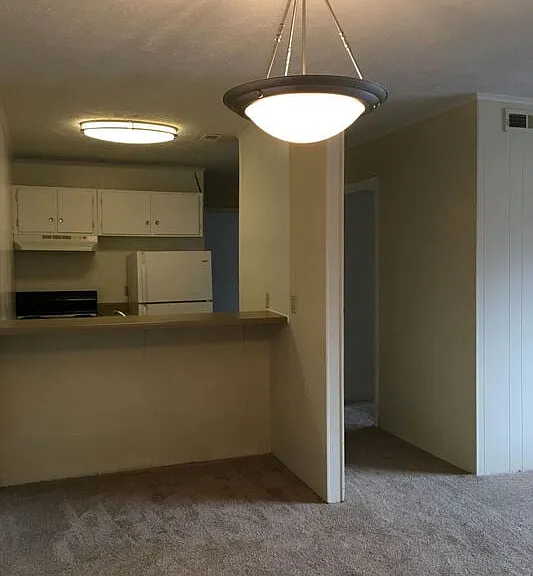 Branson Creek Commons — Photo 16