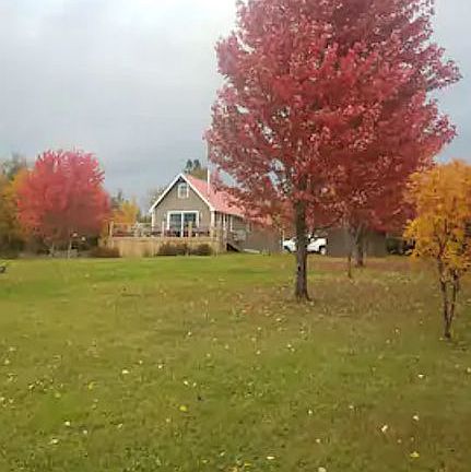 View from bottom of property