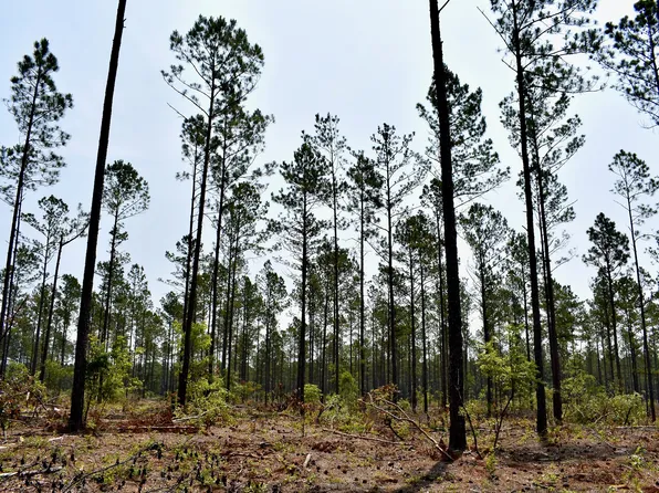 Tbd3 Pickett Thomas Rd, Camden, SC 29020