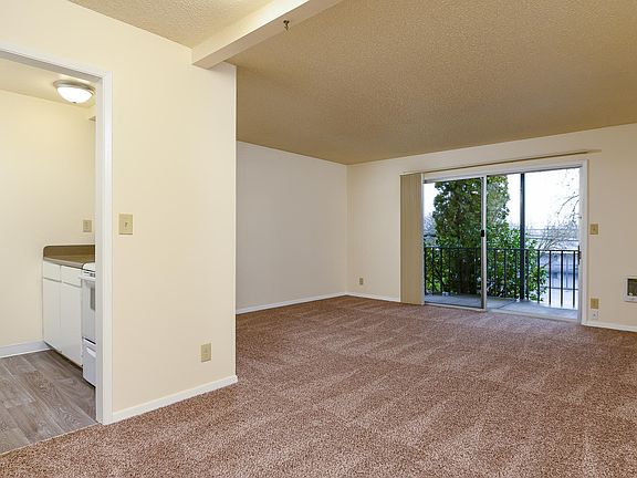 Raleigh Scholls | Living Room