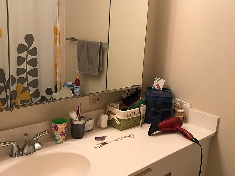 440 N Wabash Ave #2303 — Photo 5