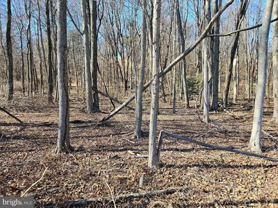 LOT Cly Rd #2, York Haven, PA, 17370