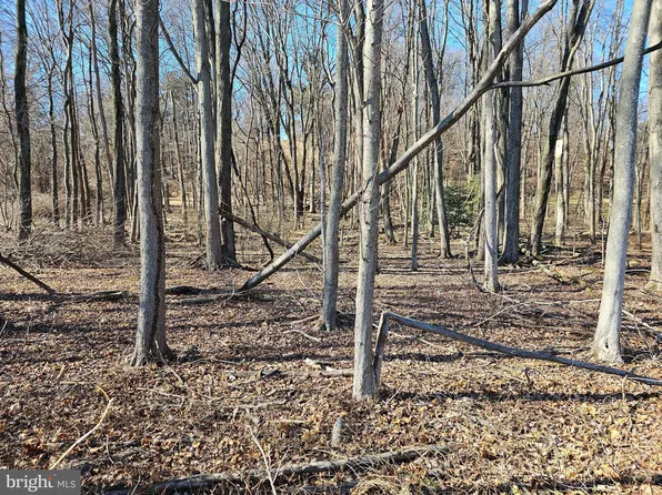 LOT Cly Rd #3, York Haven, PA 17370