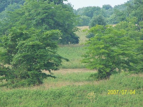 37 Acre Farm in Vevay