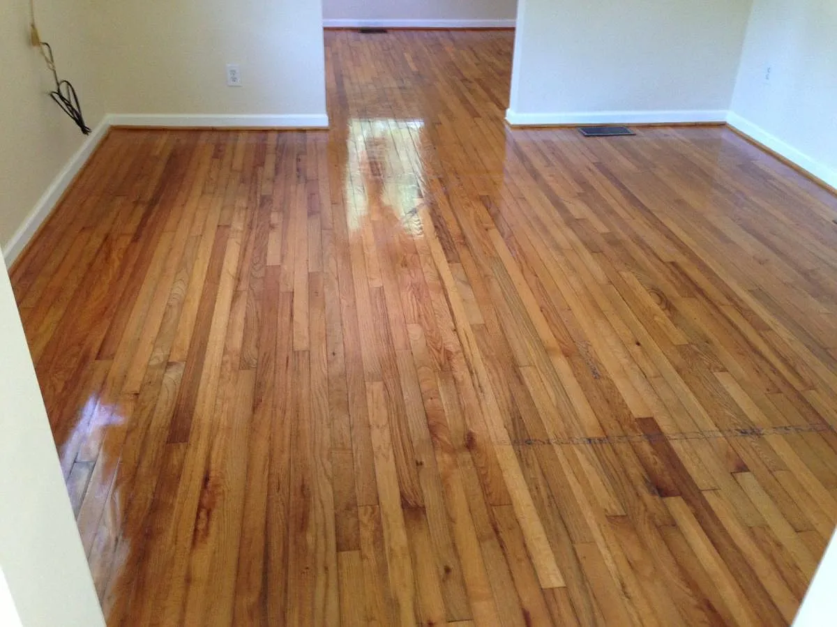 2 bed, 950 sqft, $2,000 — Photo 3