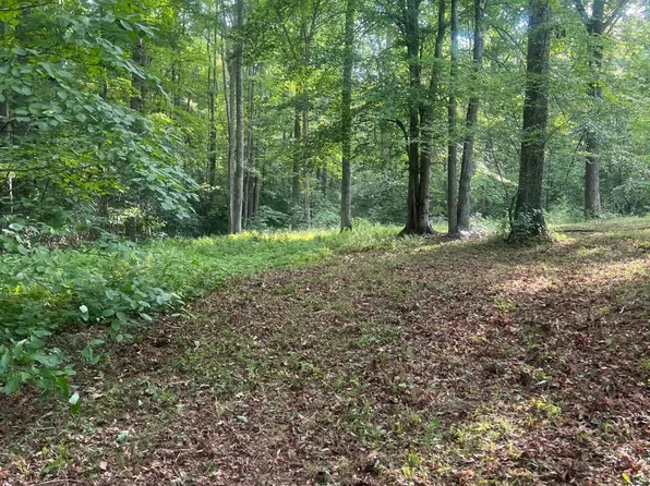 3024 Lewiston Rd, Bumpass, VA 23024