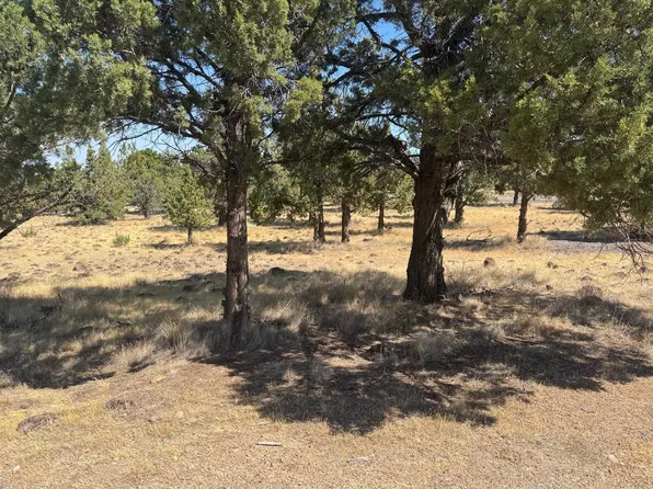 9-2 Stone Way Lot 260, Weed, CA 96094