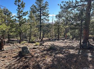 1581 Bellows Road LOT 1464, Hartsel, CO 80449