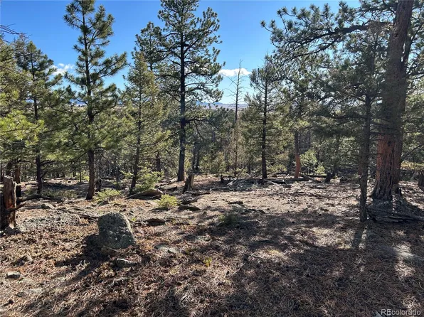 1581 Bellows Road LOT 1464, Hartsel, CO 80449