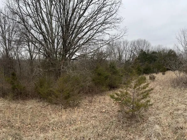 000 Spout Springs Road, Fordland, MO 65652