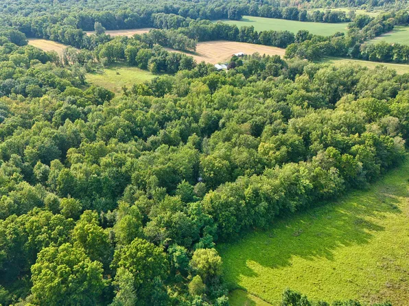 Hog Creek Rd, Allen, MI 49227