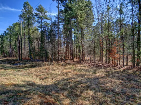 0 Bowman Bare Rd #1, Pittsboro, NC 27312