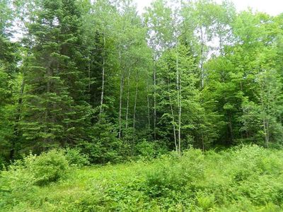 On Price Dam Road, Winter, WI, 54896