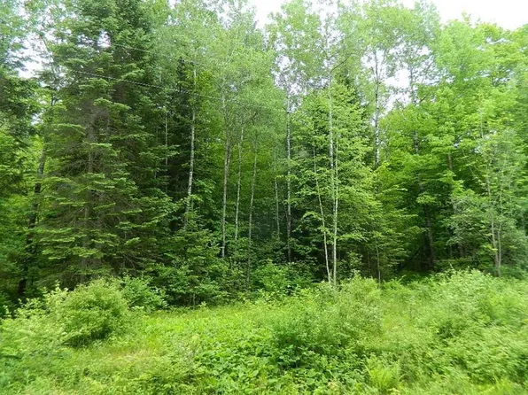 On Price Dam Road, Winter, WI 54896
