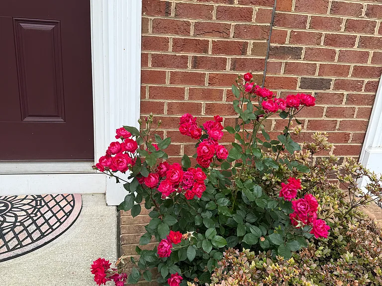 749 S Macon St — Photo 3