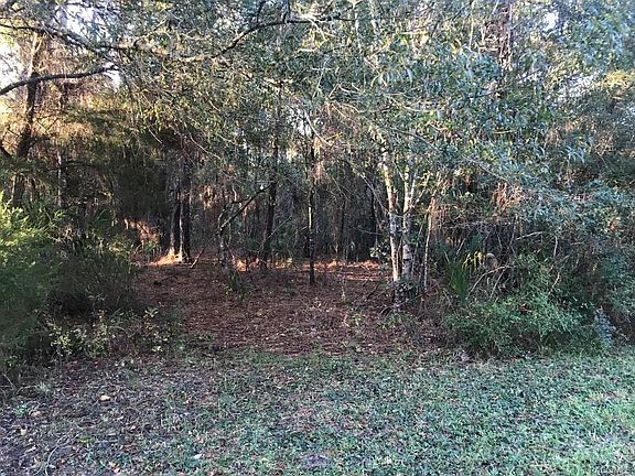 4th image of 10644 W Edgar Ln
