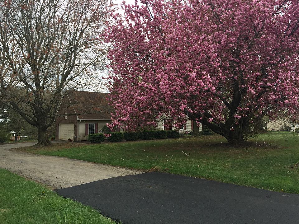 Cherry trees