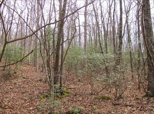 Big Creek Rd, Ellijay, GA 30536