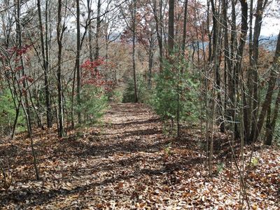 Robinson Ln, Hayesville, NC, 28904