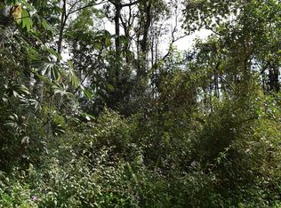 Pahoa Rd LOT 16, Pahoa, HI 96778
