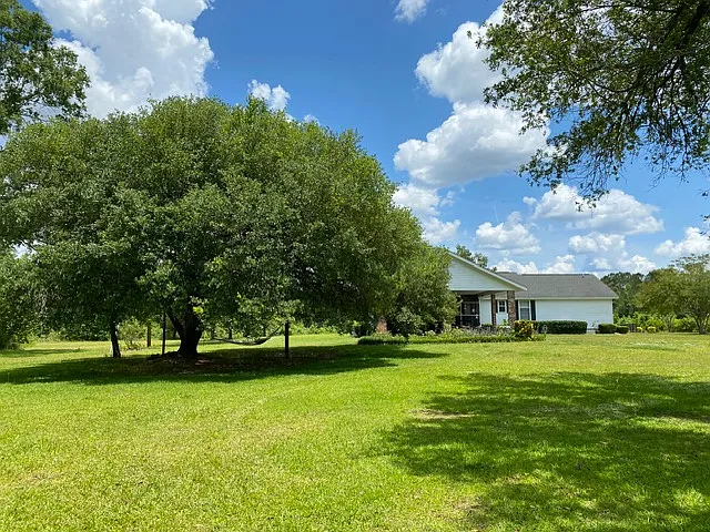 8812 Thurgood Marshall Hwy — Photo 9