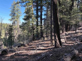 819-823 Curlew Pl, Cloudcroft, NM 88317