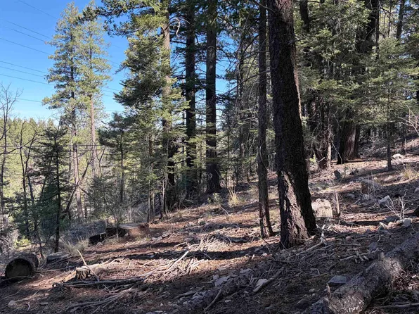 819-823 Curlew Pl, Cloudcroft, NM 88317