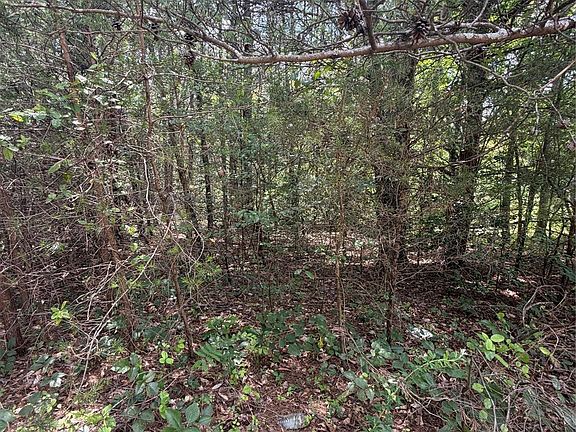 3rd image of 3542 Vilas Dr