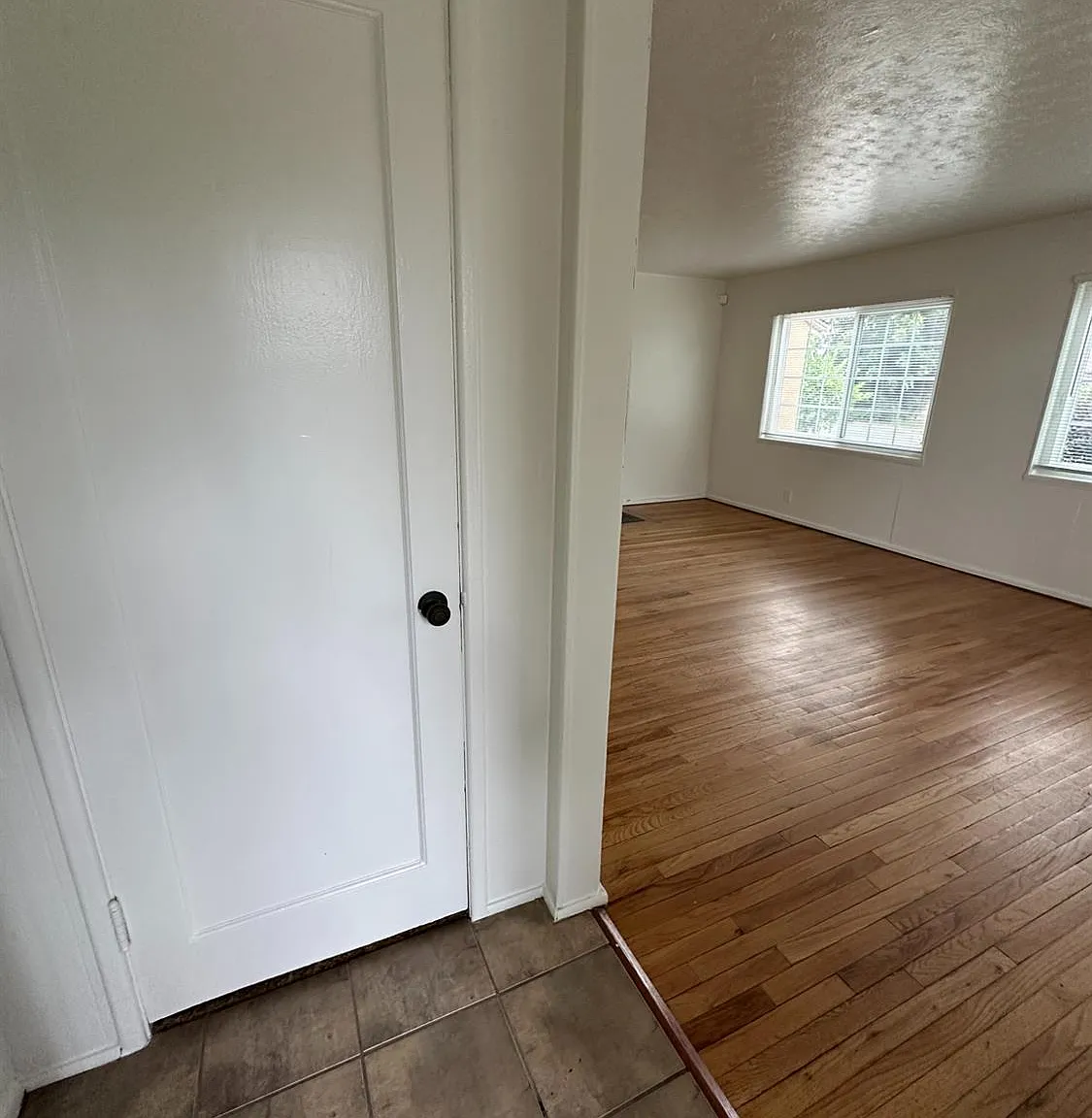 3 bed, 1308 sqft, $1,850 — Photo 4