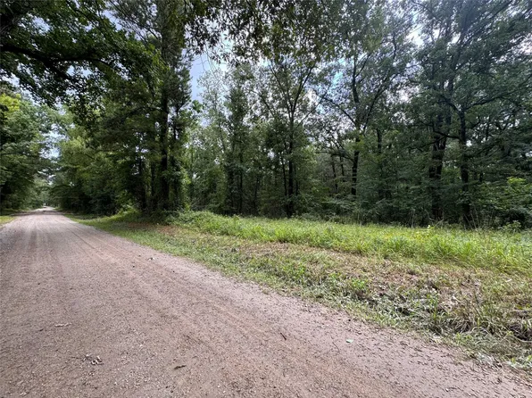 Ryan Ferry Rd, Pointblank, TX 77364