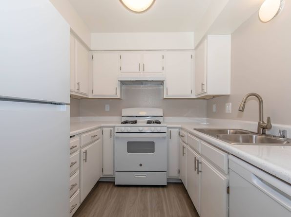 43519 Kirkland Ave #239
