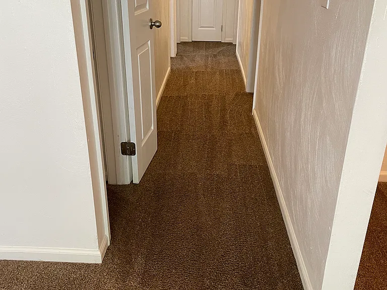 195 W Lorengo Ave — Photo 13