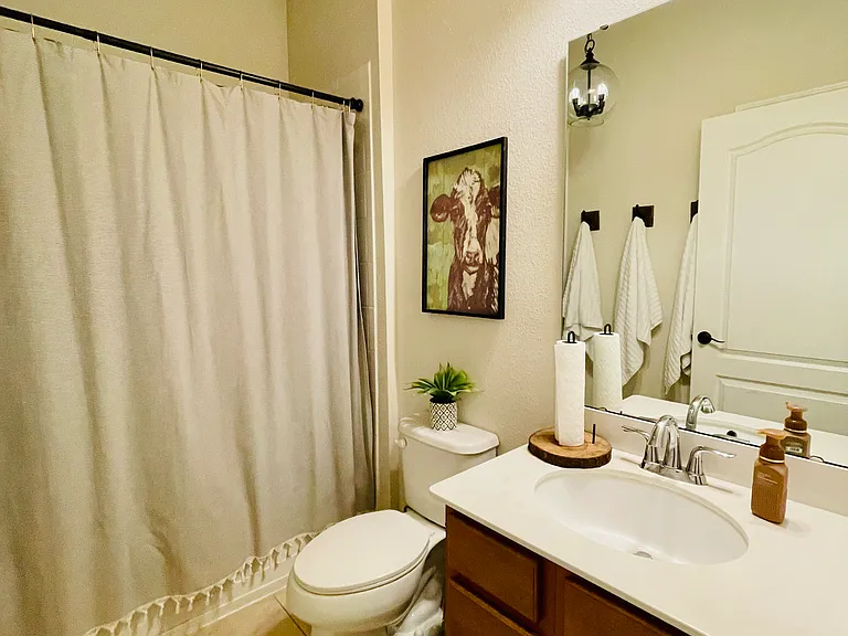 11233 Spring Point Cir — Photo 7