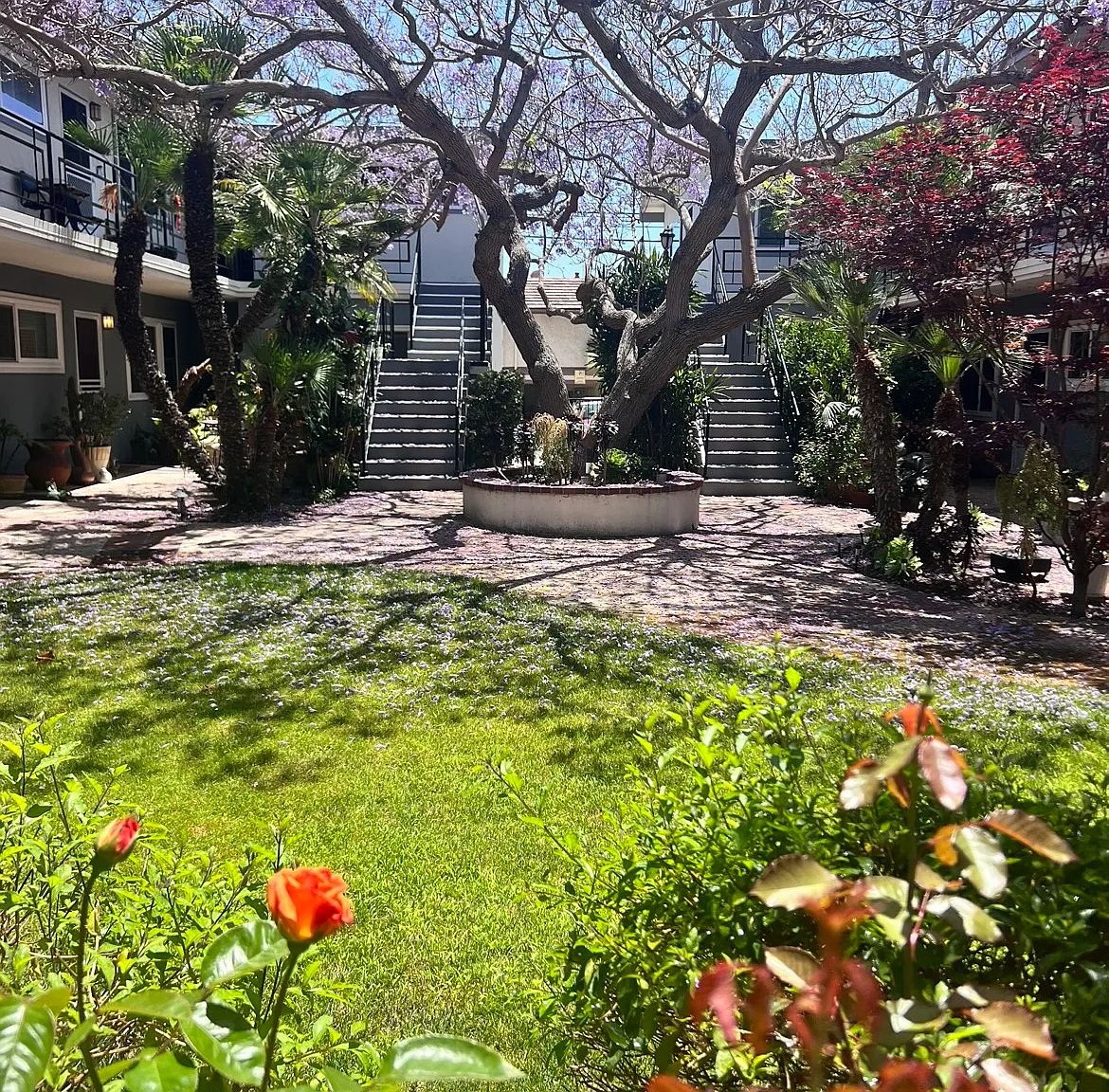 559 Cypress Dr — Photo 1