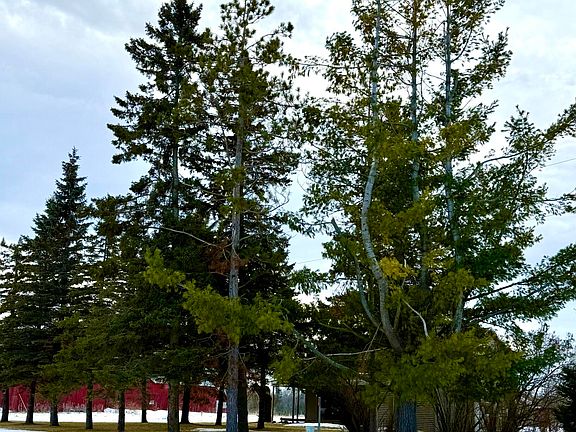 5th image of 3442 S Herron Rd