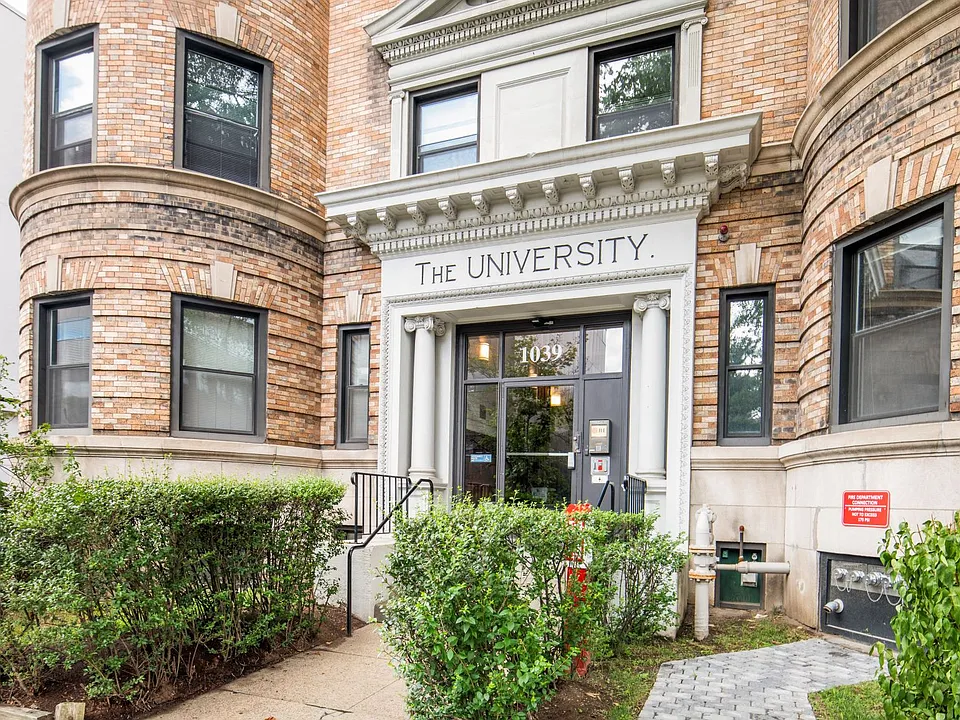 The University