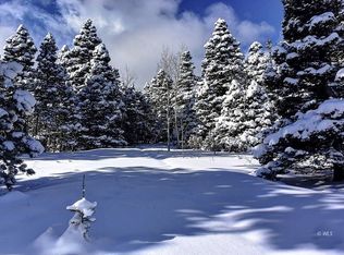 1504 Chalice Dr, Westcliffe, CO 81252