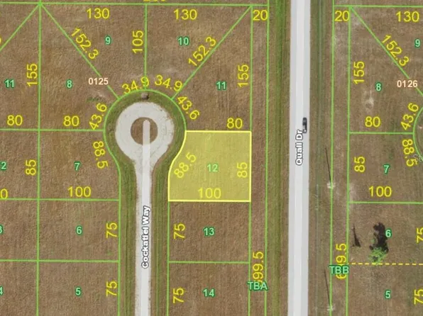 34 COCKATIEL WAY LOT 12, PLACIDA, FL 33946