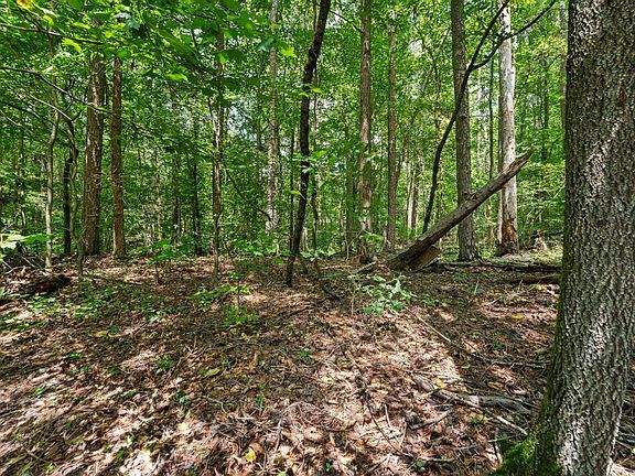 5th image of LOT 1111 Bunker Ln