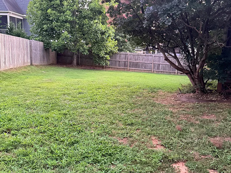 right side backyard