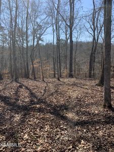 0 Rocky Top Rd, Lenoir City, TN, 37771