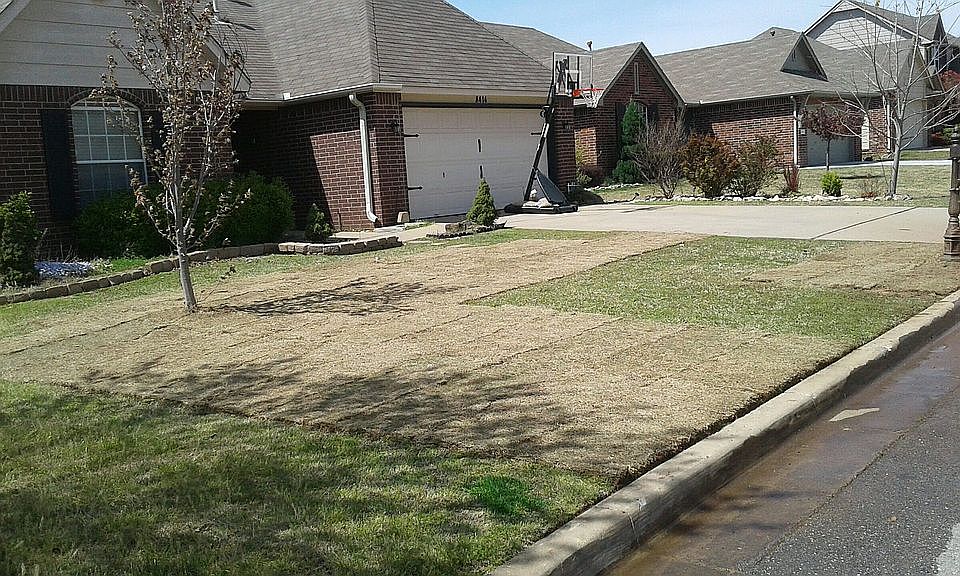 New/fresh look for yard