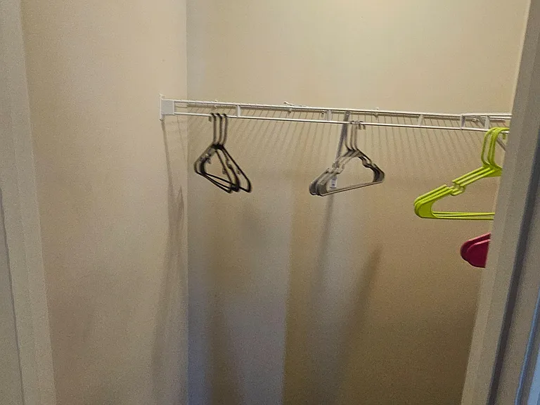 Walk-in closet with carpeted flooring and a full-length shelf and hanging rod for organized clothing storage.