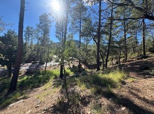 LOT 33 W Sage Ct, Pine, AZ 85544